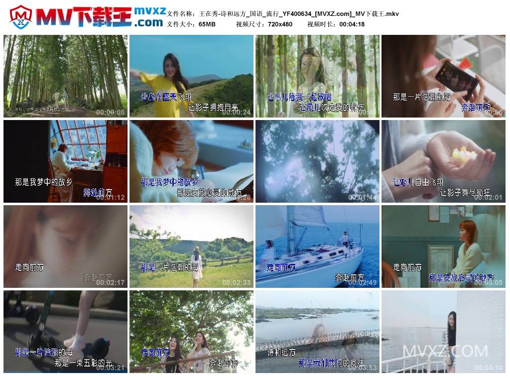 王在秀-诗和远方_国语_流行_YF400634